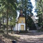 zdjęcie nr 11