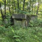 Fotka nr 4 z 23