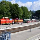 zdjęcie nr 13