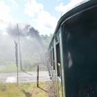 zdjęcie nr 49