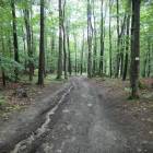 zdjęcie nr 49