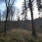zdjęcie nr 31