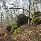 zdjęcie nr 36