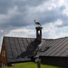 zdjęcie nr 26