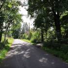 zdjęcie nr 39