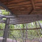 zdjęcie nr 32