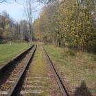zdjęcie nr 41