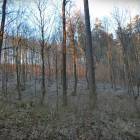 zdjęcie nr 16