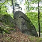 zdjęcie nr 41