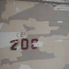 zdjęcie nr 21