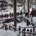zdjęcie nr 13
