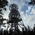 Fotka nr 4 z 11