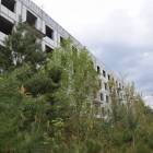 zdjęcie nr 50