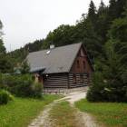 zdjęcie nr 10