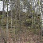 zdjęcie nr 7