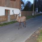 zdjęcie nr 8