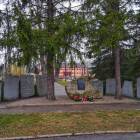 zdjęcie nr 31