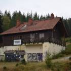 zdjęcie nr 43