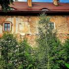 zdjęcie nr 8