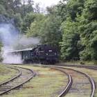 zdjęcie nr 54