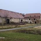 zdjęcie nr 8
