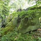 zdjęcie nr 16