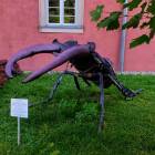 zdjęcie nr 41