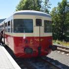 Fotka nr 1 z 12
