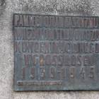 zdjęcie nr 8
