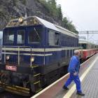 zdjęcie nr 65