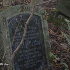 zdjęcie nr 23