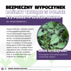 Fotka nr 0 z 14