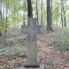 zdjęcie nr 21