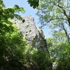 zdjęcie nr 41