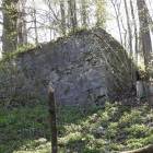 zdjęcie nr 12