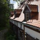 zdjęcie nr 42