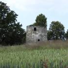 Fotka nr 4 z 17