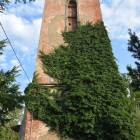 zdjęcie nr 13