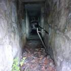 Fotka nr 0 z 33