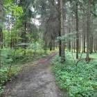 zdjęcie nr 20
