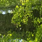 zdjęcie nr 17
