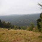 zdjęcie nr 42