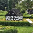 zdjęcie nr 41