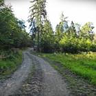 zdjęcie nr 30