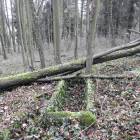 zdjęcie nr 41