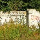 zdjęcie nr 29