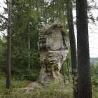 zdjęcie nr 8