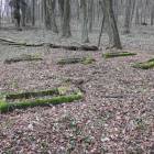 zdjęcie nr 29