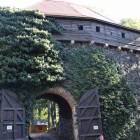 zdjęcie nr 57