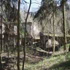 zdjęcie nr 40